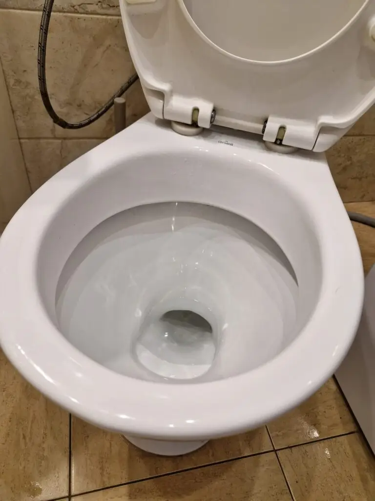 Toaleta po czyszczeniu