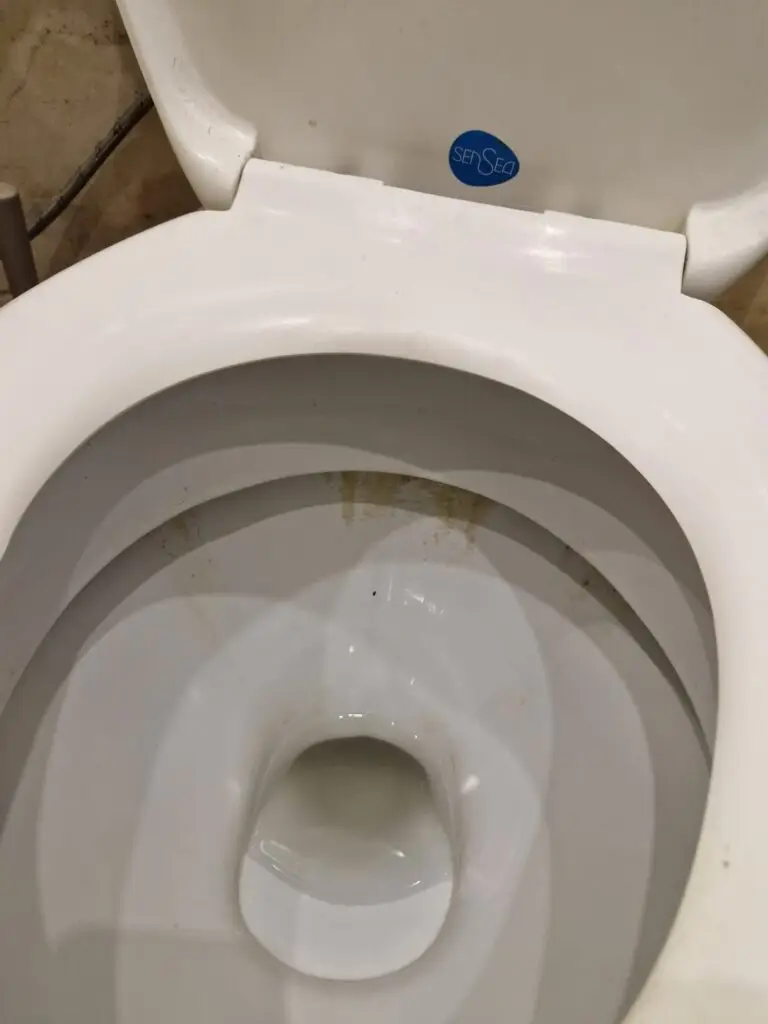 Toaleta przed czyszczeniem
